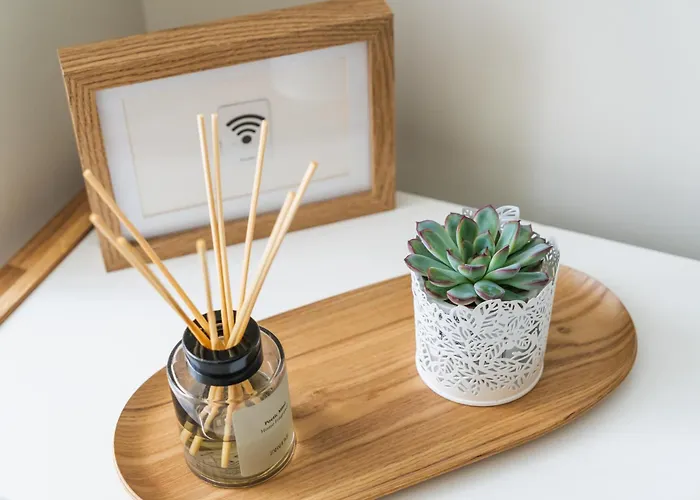 Apartament Cedofeita Bliss - 1bdr With Ac *